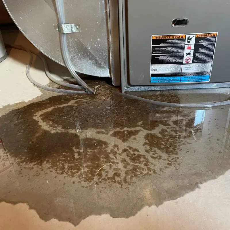Pipe Burst and Leak Restoration in Washington Heights, NY